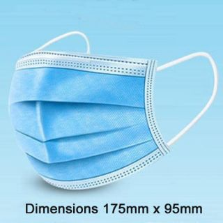 3 Layer Disposable Mask Two Pack Sizes
